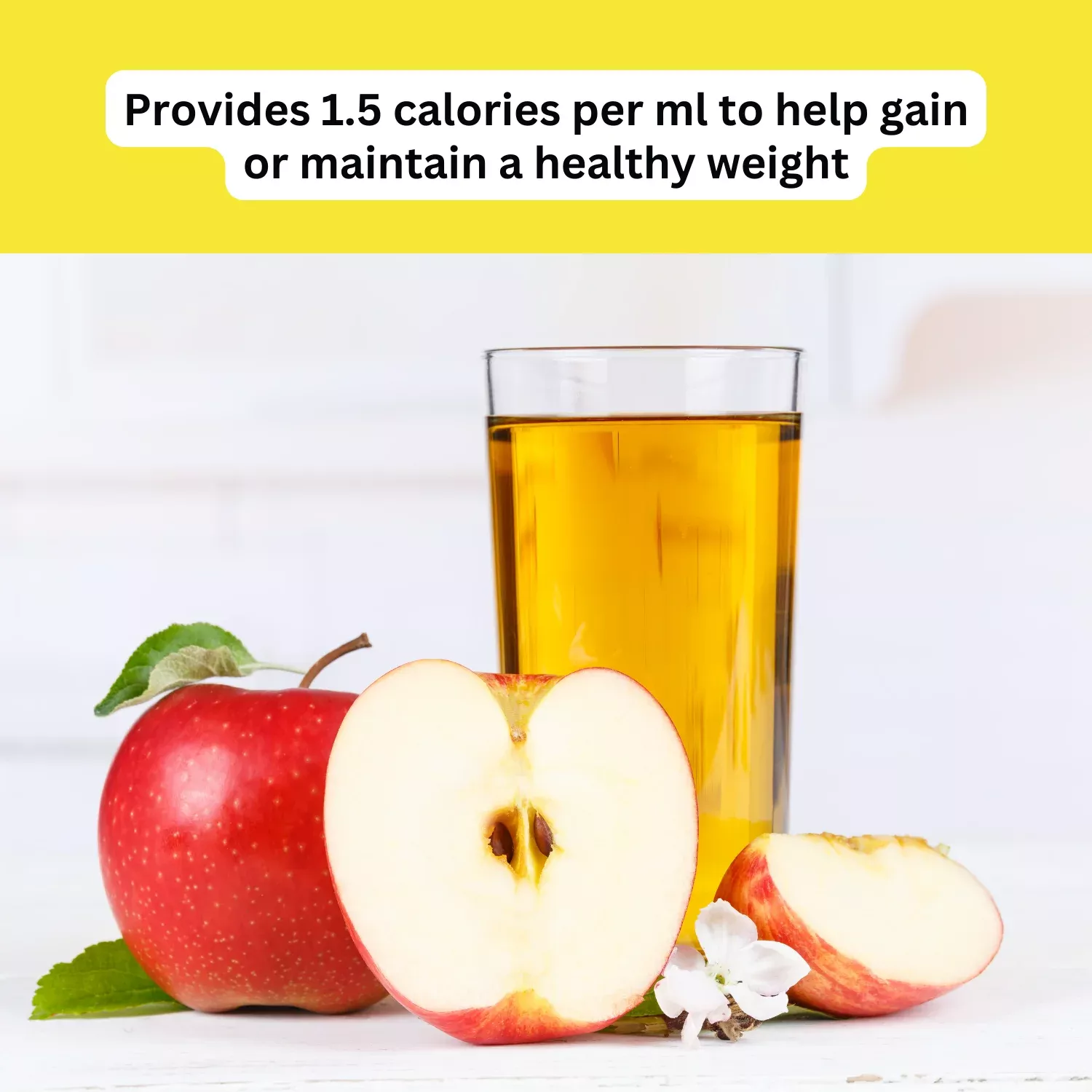 Ensure Plus Juce Apple Flavour 220ml x 24 Pack