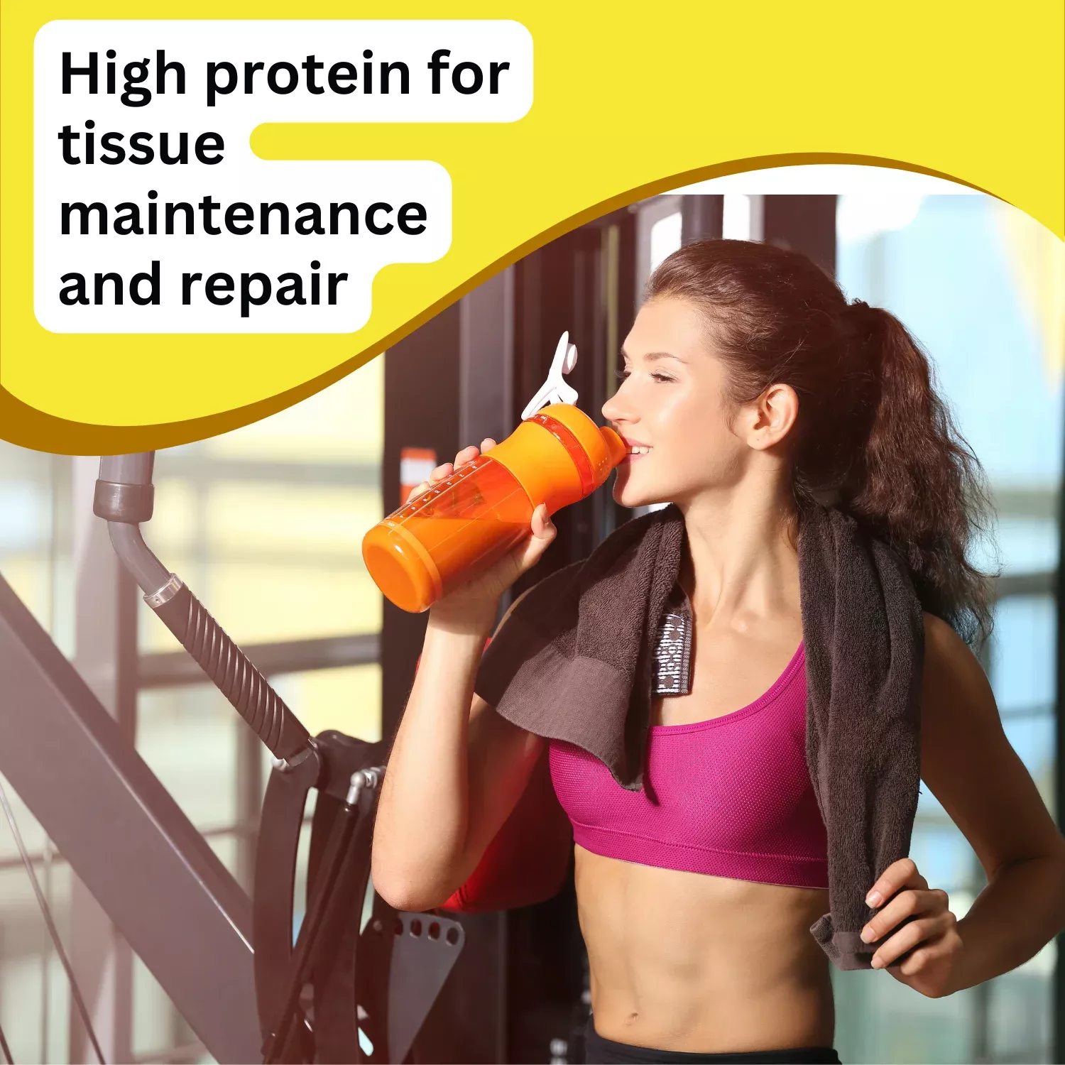 Ensure Plus Juce Apple Flavour 220ml x 24 Pack